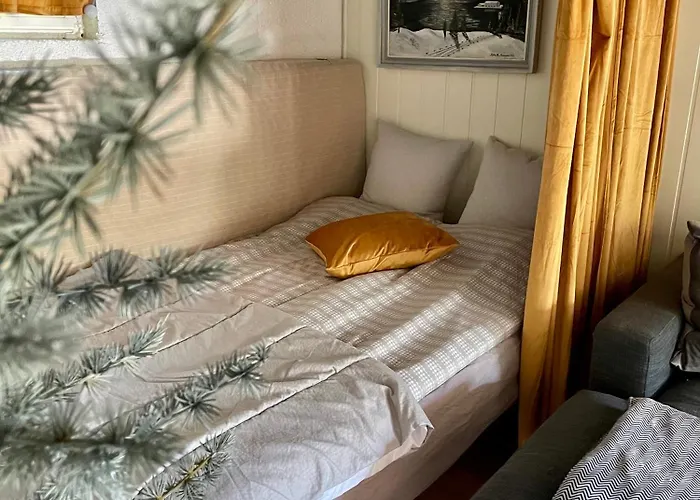 Primitivt Kjellerrom Uten Dusj, Med Delt Toalett