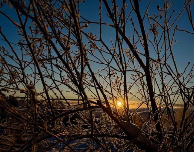 Primitivt Kjellerrom Uten Dusj, Med Delt Toalett Eidsvoll